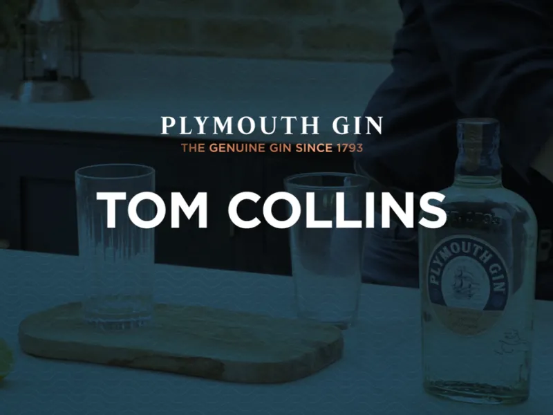 Plymouth Tom Collins